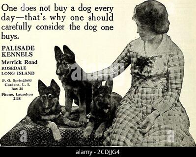 . San Nicola [seriale] . 27 PLAYMATES/-Boys and Girls uno non compra un cane ogni giorno - thats perchè uno shouldconsiderbuys con attenzione. PALISADEKENNELSMARICK Road ROSEDALELONG ISLAND P. O. SpringfieldGardens, L. I.Box 28 Telefono, Laurelton2138 75 CENTESIMI (senza francobolli) PER TUTTE LE PARTI E I PIANI DI QUESTO AEREO POPOLARE Grande divertimento per farlo in meno di 2 hourstlien vedere volare 75 piedi. 7 modelli otiicr, ali in tessuto. Circoletto aereo 4 centtimbri. Menziona il vostro colore preferito wings.Money indietro se non soddisfatto. Ufficio aereo, Newark, N. J Foto Stock