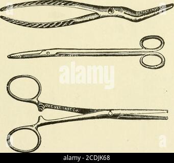 . Tecnico veterinario post mortem . Fig. 45.-pinzette curve.. Fig. 4G.-dura e pinze emostatiche utilizzate per contenere meningi, ossa turbinate, sep-tum nasale, vasi sanguigni, nervi, tendini, ecc., mentre vengono tagliati o ablati. Le pinze tumorali vengono utilizzate nei tumori estirpanti, nel massaggiodel tessuto muscolare, nelle ossa turbinate e nel tessuto necrotico (Fig. 47). Pinzette per il fissaggio delle ossa (Fig. 48) sono emi^leed in Hold-40 VETERINARIO POST-MORTEM TECHNIC Foto Stock