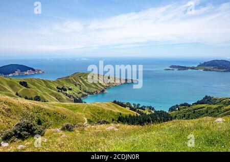 Baia di Wakawa, suoni di Malborough, Isola del Sud, Nuova Zelanda, Oceania. Foto Stock