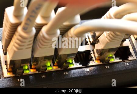 Cavi LAN collegati a un router Foto Stock
