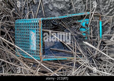 Carrello della spesa scartato nella palude Foto Stock