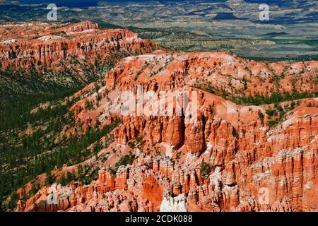 Pendii del Bryce Canyon. Utah. STATI UNITI Foto Stock