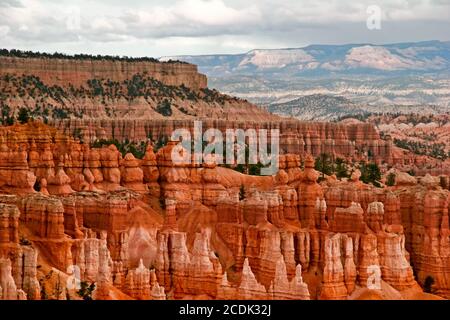 Pendii del Bryce Canyon. Utah. STATI UNITI Foto Stock