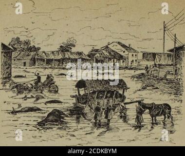 . L'Armée russe en campagne, souvenirs de guerre et de voyage . île Sislova pendant tes 11 lauli CHAPITRE XXIV ?&gt;«&gt; Bukare*! à rioina. Départ de Bukarest. - De Guirgewo é Zimnitza. Le temps mauvais. Les ponts du Danube. La mer de i ?. – in sinistre tableau. Loscurité. Una Sistova. Les émigrants bullares. – Leur misère. Marche devois. UN Gorny-Studen. Les huttes bulgares. Le quartier impé-rial. Les Kibitkas - la route des camps autour de Plevna. Toujoursl.i boue. – Aspect des campements. Un Brestovatz. Le quartier généralde Skobéleff. Les tranchées Foto Stock