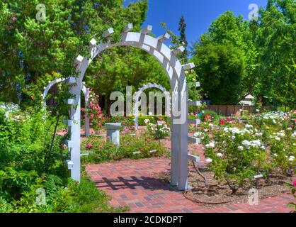 Inglese Il Giardino delle Rose Foto Stock