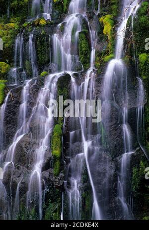 Panther Creek Falls, Gifford Pinchot National Forest, Washington Foto Stock