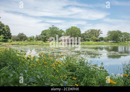 Aurora, Illinois, Stati Uniti-Aprile 19,2014: Padiglione con vista sulla splendida zona umida con turisti e vegetazione lussureggiante ad Aurora, Illinois Foto Stock