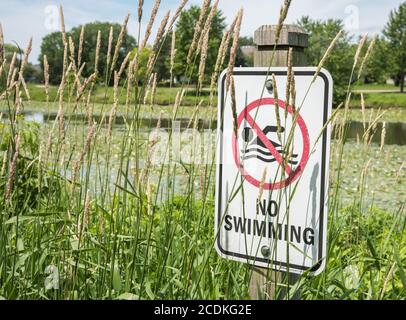 Aurora, Illinois, Stati Uniti-Aprile 19,2014: Nessun segno di nuoto accoccolato in praterie erbe vicino al lago di palude in Aurora, Illinois Foto Stock