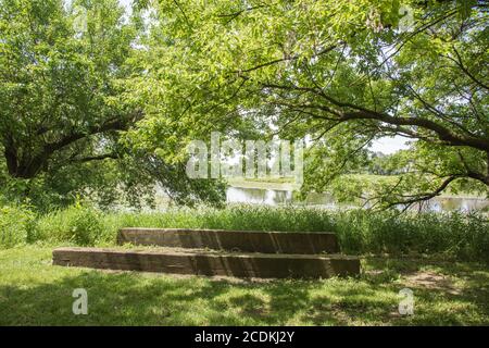 Tavole rustiche in legno per punto di osservazione delle zone umide con rami di alberi a strapiombo in una giornata di sole ad Aurora, Illinois Foto Stock