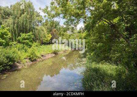 Splendida vegetazione primaverile che circonda il torrente con riflessi arborei sulla superficie dell'acqua in una giornata di sole ad Aurora, Illinois Foto Stock