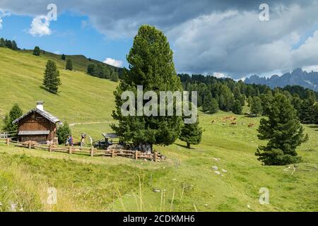 TONADICO, TRENTINO/ITALIA - 11 AGOSTO : Rifugio nel Parco Naturale del Paneveggio pale di San Martino in Tonadico, Trentino, Italia il 11 agosto 2020. Persone non identificate Foto Stock