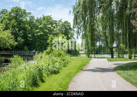 Aurora, Illinois, Stati Uniti-Aprile 19,2014: Persone sul ponte pedonale che guarda sulla riserva paludosa con lussureggiante vegetazione ad Aurora, Illinois Foto Stock