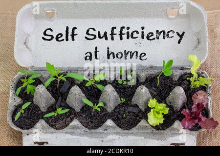 Piantine che crescono in scatola di uovo riutilizzata con il segno scritto a mano, autosufficienza a casa, riciclare e riutilizzare per risparmiare denaro e crescere il proprio cibo Foto Stock