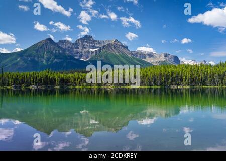 Herbert Lake Reflections nel Banff National Park, Icefields Parkway, Alberta, Canada. Foto Stock