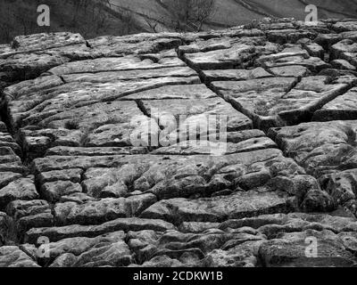 Modello creato dai famosi clint & grykes di pavimentazione calcarea sopra Malham Cove, Yorkshire Dales National Park North Yorkshire, Inghilterra, Regno Unito Foto Stock