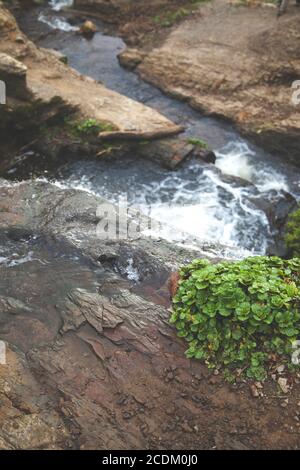 L'acqua dolce scorre nella roccia scura alle cascate Alamere a Point Reyes, California. Foto Stock