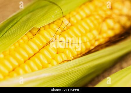 Spighe di grano fresco. Close up di mais dolce Foto Stock