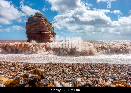 Le onde rotolano sulla spiaggia a Ladram Bay nel Devon del sud, Inghilterra. Le scogliere di arenaria si sono erose nel tempo per lasciare una pila indipendente Foto Stock