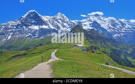 Prato di montagna e sentiero escursionistico sul Maennlichen con il trionfale del massiccio dell'Eiger, Moench e Jungfrau, Wengen, Jungfrau regione, Bernese Foto Stock