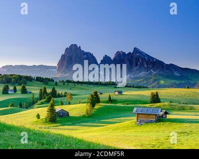 Alpe di Siusi, Sassolungo, Plattkofel, alla luce del mattino, Alto Adige, Dolomiti, Italia Foto Stock