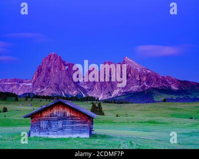 Alpe di Siusi, Sassolungo, Plattkofel, alla luce della sera, Alto Adige, Dolomiti, Italia Foto Stock