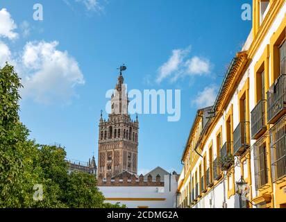 Vista del campanile la Giralda dal patio de las Banderas, Cattedrale di Siviglia, Real Alcazar de Siviglia, Siviglia, Andalusia, Spagna Foto Stock