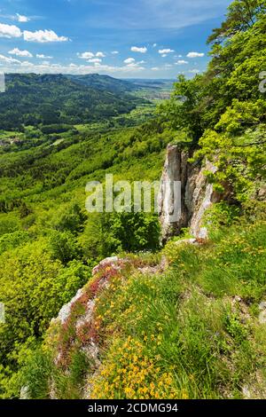 Vista da Schalksburg alle montagne Balinger, Alb Svevo, Baden-Wuerttemberg, Germania Foto Stock