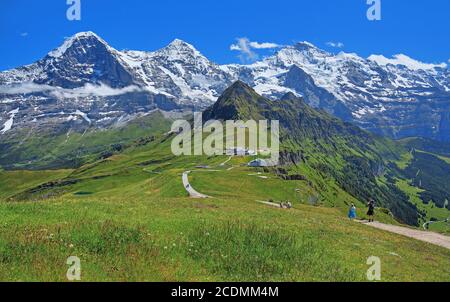 Prato di montagna e sentiero escursionistico sul Maennlichen con il trionfale del massiccio dell'Eiger, Moench e Jungfrau, Wengen, Jungfrau regione, Bernese Foto Stock