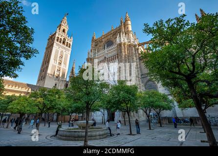 Vista dal cortile arancione con alberi d'arancio, patio de Naranjos, a la Giralda, campanile della cattedrale di Siviglia, e Puerta de la Foto Stock