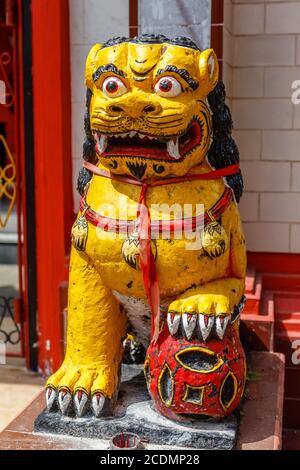 Leone guardiano di Shishi al tempio buddista cinese Vihara Amurya Bhumi Blahbatuh. Kemenuh, Gianyar, Bali, Indonesia. Foto Stock