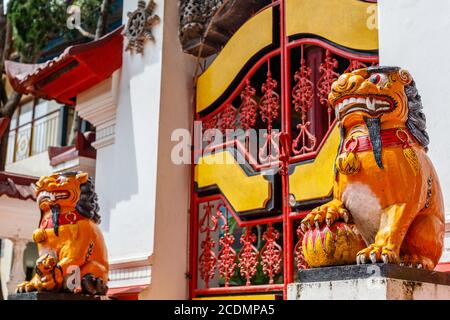 Leoni guardiani Shishi al tempio buddista cinese Vihara Amurya Bhumi Blahbatuh. Kemenuh, Gianyar, Bali, Indonesia. Foto Stock