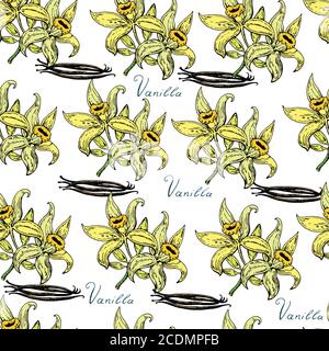 Motivo senza cuciture disegnato a mano con fiori alla vaniglia Illustrazione Vettoriale