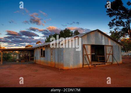 Shearing Shed di legno all'alba, Charleville, Queensland, Australia Foto Stock