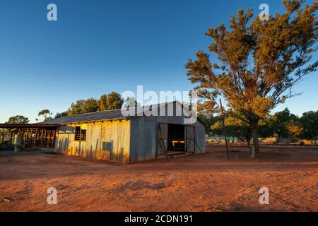 Shearing Shed di legno all'alba, Charleville, Queensland, Australia Foto Stock