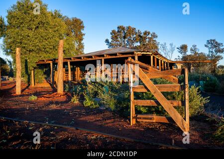 Shearing Shed di legno all'alba, Charleville, Queensland, Australia Foto Stock