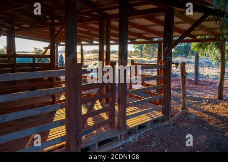 Interno di Shearing Shed all'alba, Charleville, Queensland, Australia Foto Stock