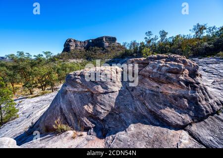 Formazione di pietra arenaria agli albori con Spyglass Peak sullo sfondo. Salvator Rosa Sezione Parco Nazionale Carnarvon, Queensland, Australia Foto Stock