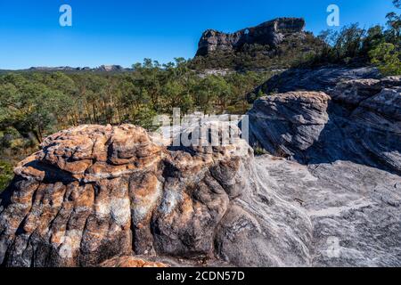 Formazione di pietra arenaria agli albori con Spyglass Peak sullo sfondo. Salvator Rosa Sezione Parco Nazionale Carnarvon, Queensland, Australia Foto Stock