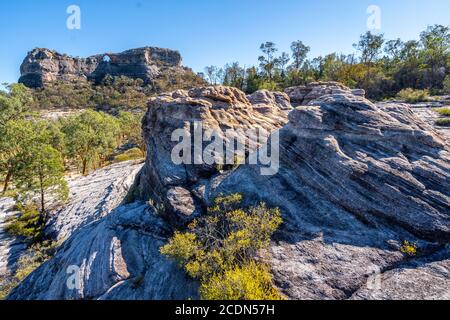 Formazione di pietra arenaria agli albori con Spyglass Peak sullo sfondo. Salvator Rosa Sezione Parco Nazionale Carnarvon, Queensland, Australia Foto Stock