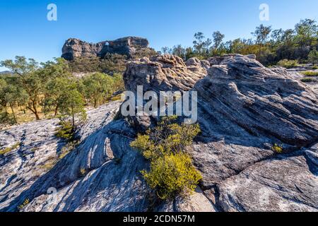 Formazione di pietra arenaria agli albori con Spyglass Peak sullo sfondo. Salvator Rosa Sezione Parco Nazionale Carnarvon, Queensland, Australia Foto Stock