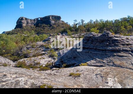 Formazione di pietra arenaria agli albori con Spyglass Peak sullo sfondo. Salvator Rosa Sezione Parco Nazionale Carnarvon, Queensland, Australia Foto Stock