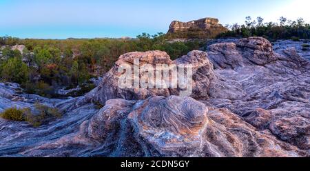 Formazione di pietra arenaria agli albori con Spyglass Peak sullo sfondo. Salvator Rosa Sezione Parco Nazionale Carnarvon, Queensland, Australia Foto Stock