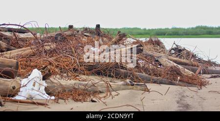 La riva della laguna artica è fortemente infestata da filo d'acciaio e registri Foto Stock