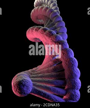 Molecola di DNA rosso blu nero Foto Stock