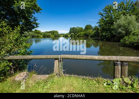 D-Dorsten, D-Dorsten-Deuten, Lippe, Ruhr, Hohe Mark Westmuensterland Nature Park, Muensterland, Westfalia, Nord Reno-Westfalia, NRW, Muehlenteich, lago mulino presso il mulino ad acqua Tueshaus alimentato dal fiume Hammbach Foto Stock