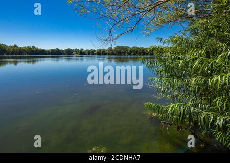 D-Dorsten, D-Dorsten-Holsterhausen, Lippe, Ruhr, Hohe Mark Westmuensterland Nature Park, Muensterland, Westfalia, Nord Reno-Westfalia, NRW, Blauer See, Blue Lake, lago artificiale, processo di stoccaggio delle acque di RWW, ex stagno balneabile Foto Stock