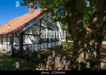 D-Dorsten, D-Dorsten-Holsterhausen, Lippe, zona Ruhr, Parco Naturale Hohe Mark Westmuensterland, Muensterland, Westfalia, Nord Reno-Westfalia, NRW, Rasche Hof, casa colonica, casa a graticcio, ristorante Foto Stock