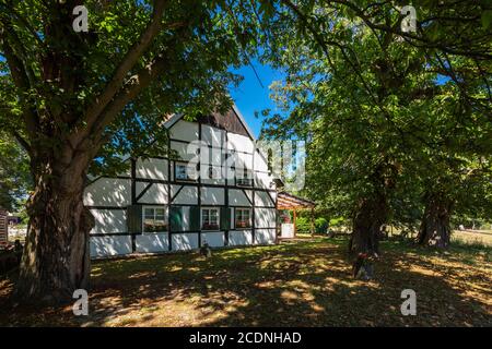 D-Dorsten, D-Dorsten-Holsterhausen, Lippe, zona Ruhr, Parco Naturale Hohe Mark Westmuensterland, Muensterland, Westfalia, Nord Reno-Westfalia, NRW, Rasche Hof, casa colonica, casa a graticcio, ristorante Foto Stock