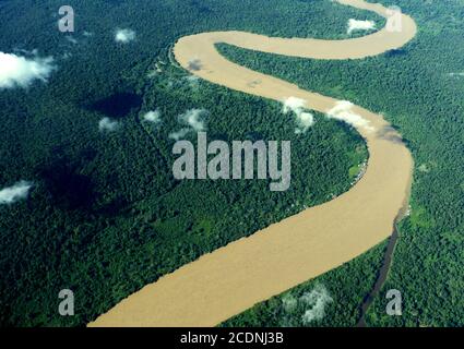 L'Amazzonia si snoda attraverso la giungla verde dentro Brasile Foto Stock