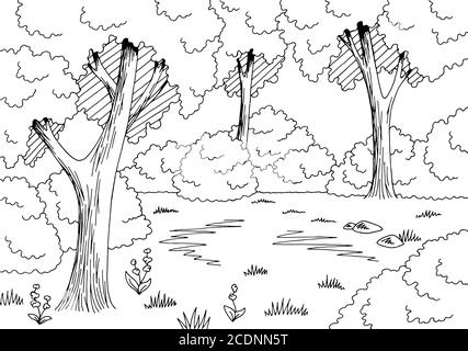 Forest glade grafico bianco nero disegno paesaggio vettore illustrazione Illustrazione Vettoriale